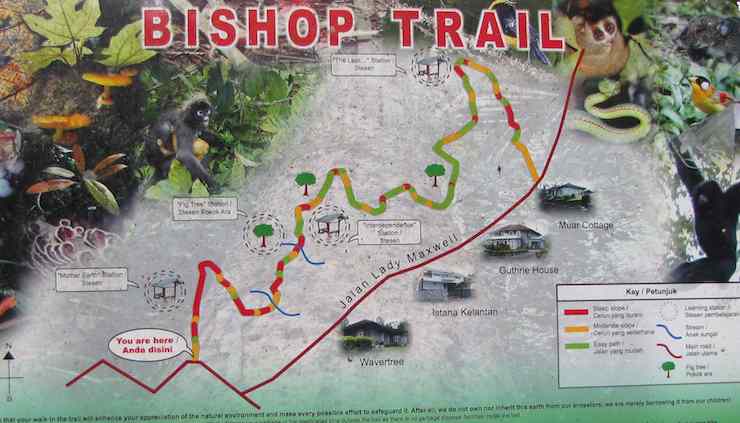 image of map of Bishop Trail